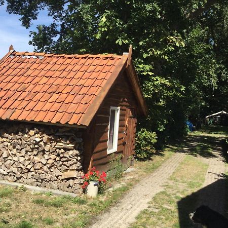 Landelijk Gelegen Huisje Op Erf Veeningen Luaran gambar