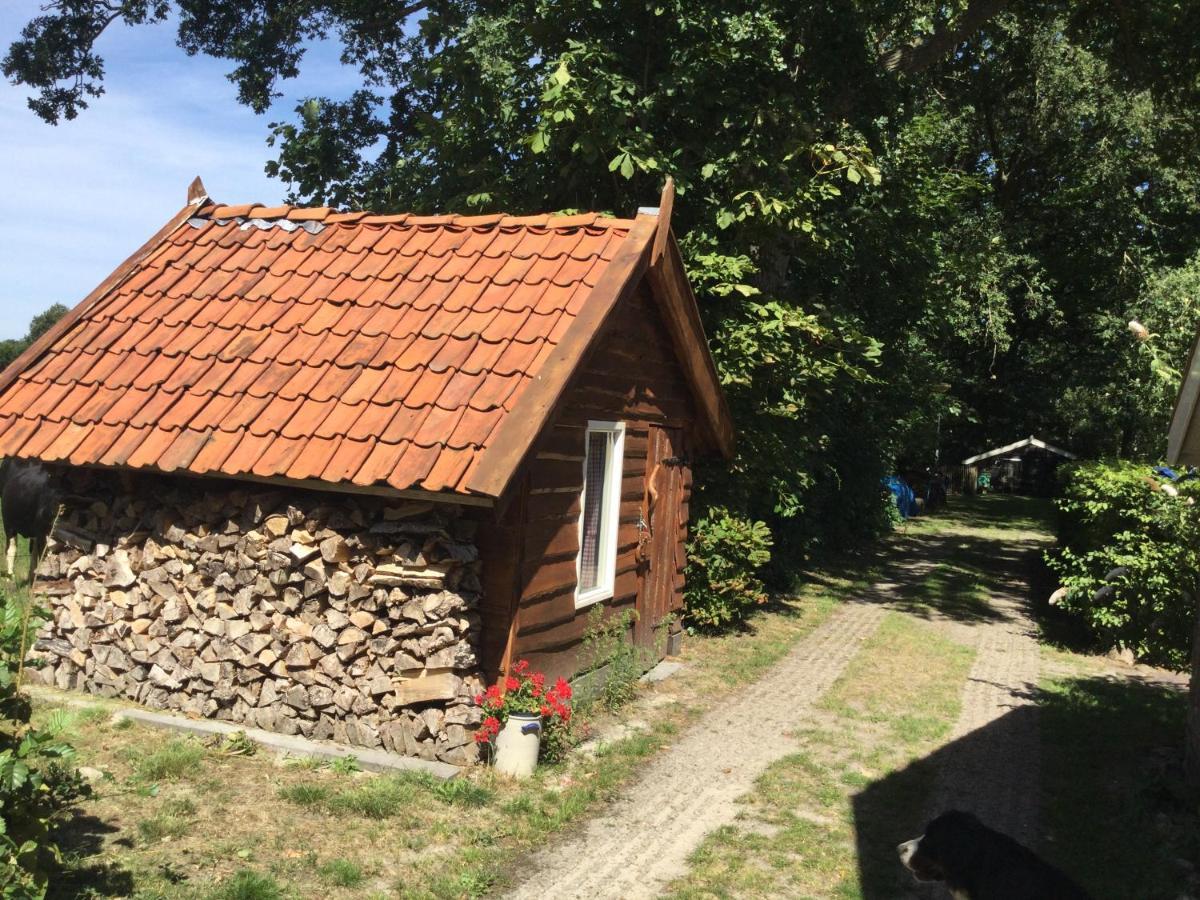 Landelijk Gelegen Huisje Op Erf Veeningen Luaran gambar