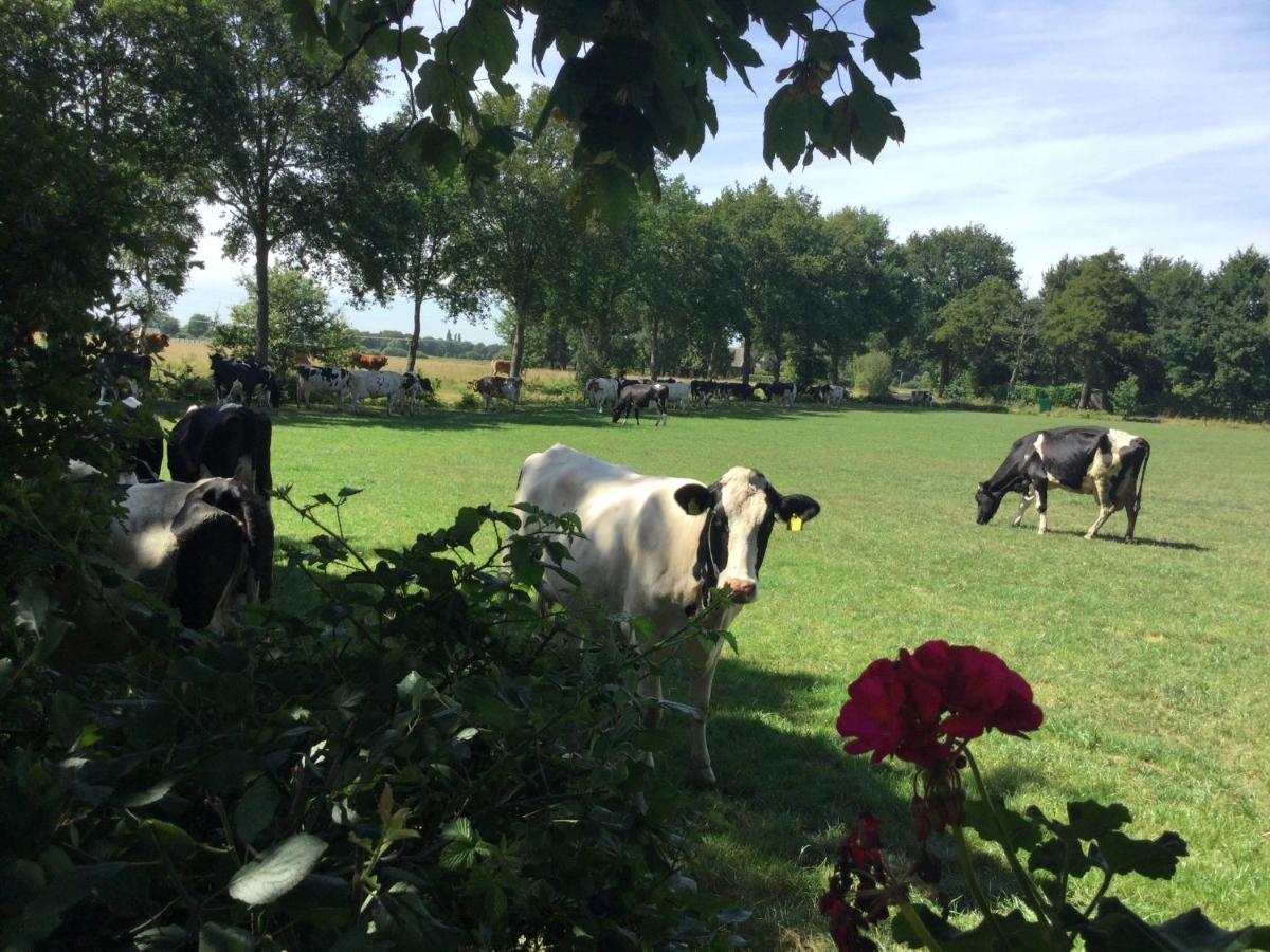 Landelijk Gelegen Huisje Op Erf Veeningen Luaran gambar