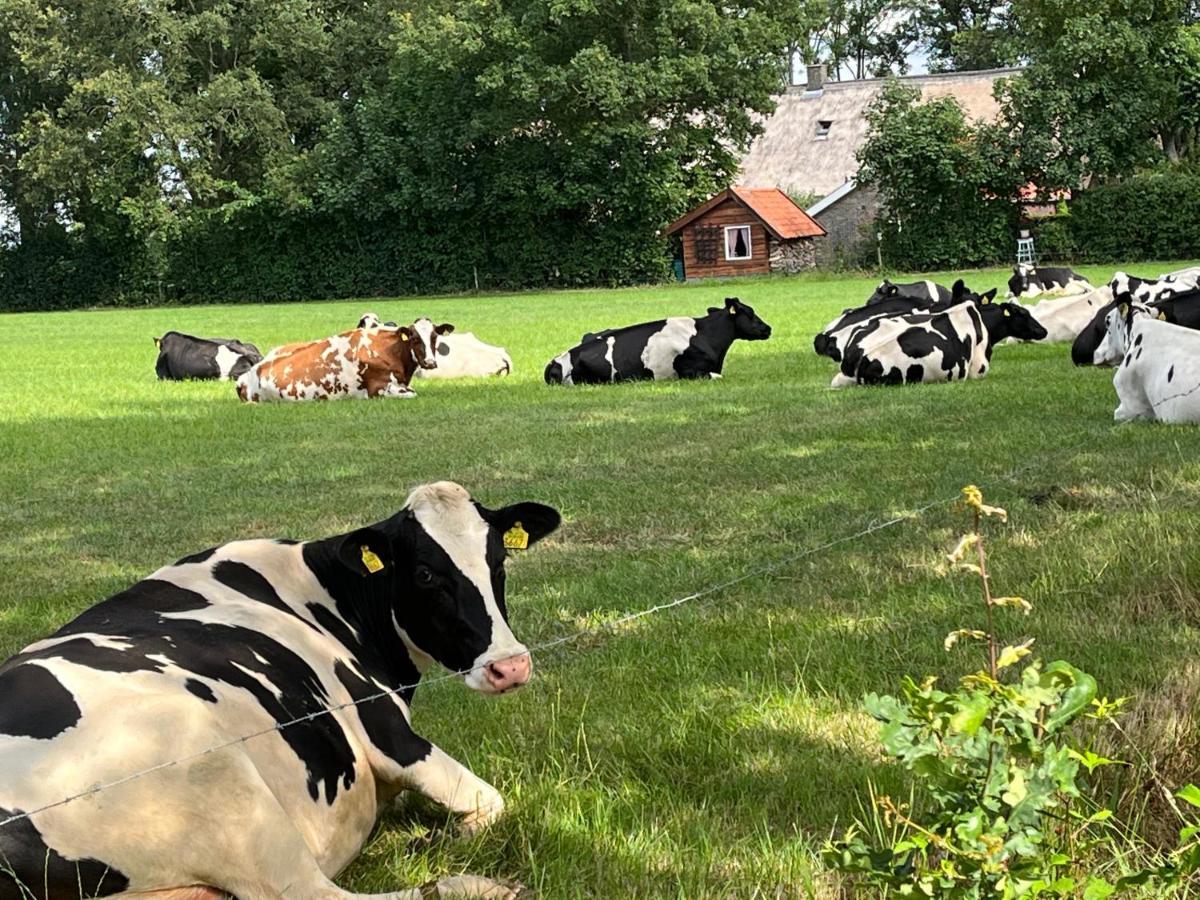 Landelijk Gelegen Huisje Op Erf Veeningen Luaran gambar