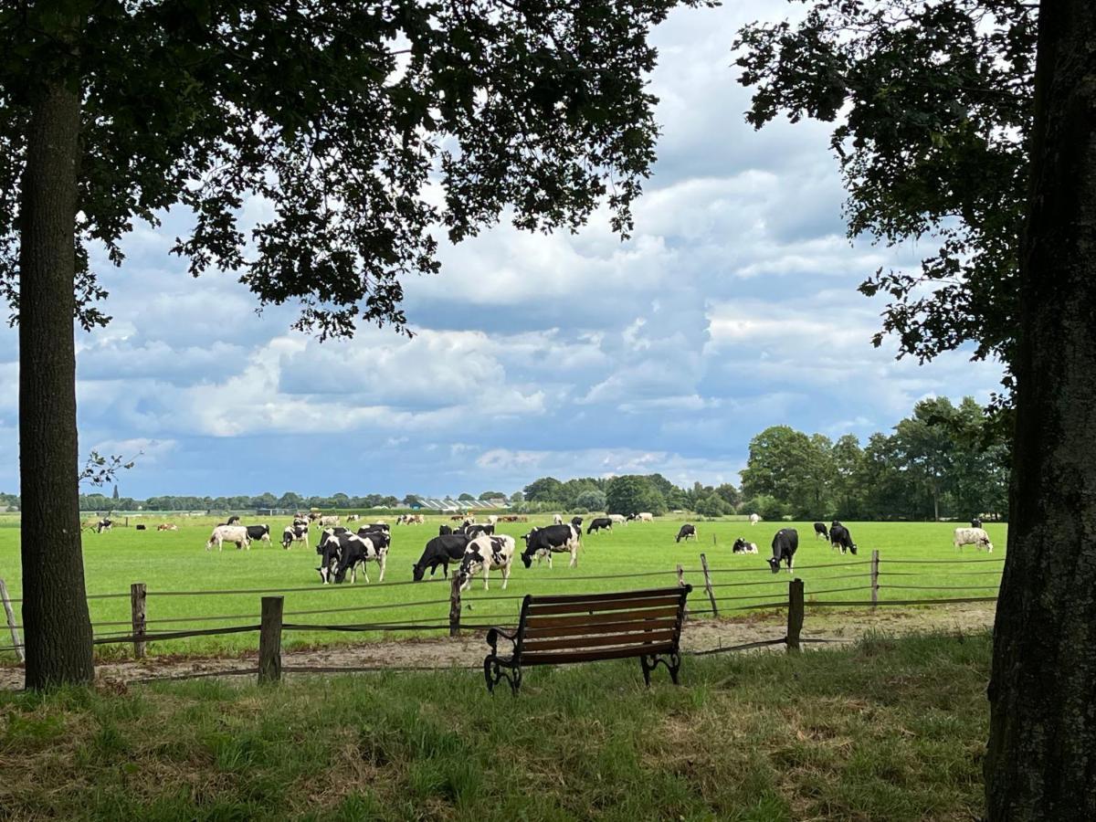 Landelijk Gelegen Huisje Op Erf Veeningen Luaran gambar